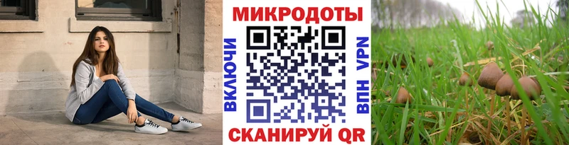 хочу   Барыш  Галлюциногенные грибы Psilocybine cubensis 
